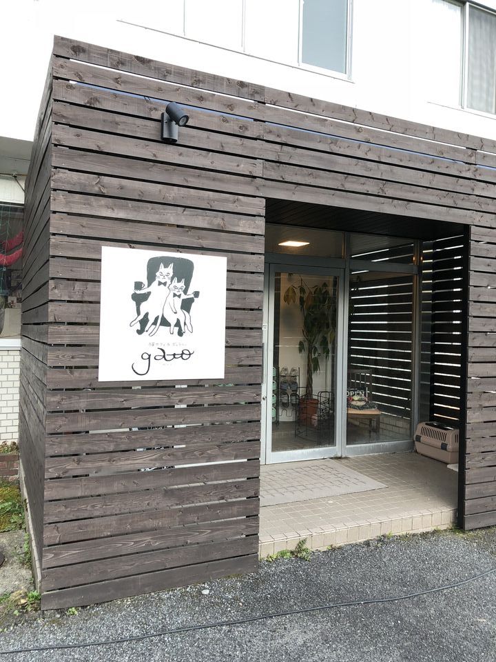 猫カフェGATO　新しい部屋をつくりました